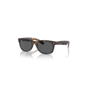 wayfarer-1